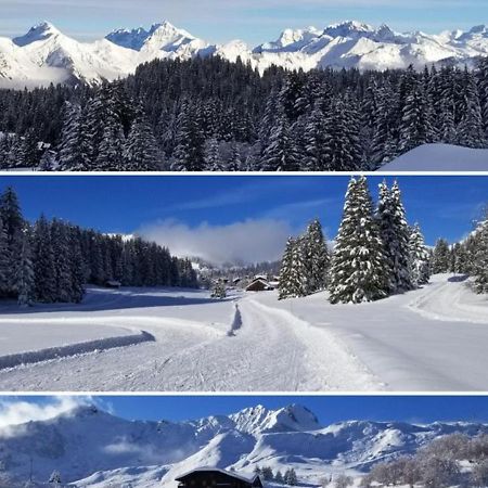 Studio Cabine Praz De Lys تانينج المظهر الخارجي الصورة