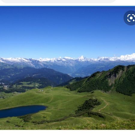 Studio Cabine Praz De Lys تانينج المظهر الخارجي الصورة