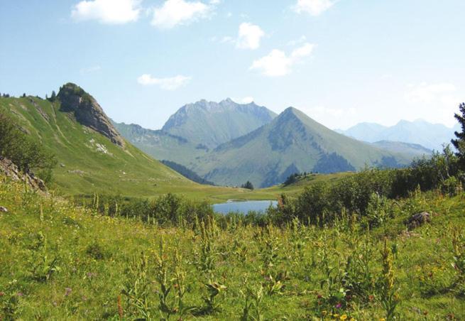 Studio Cabine Praz De Lys تانينج المظهر الخارجي الصورة