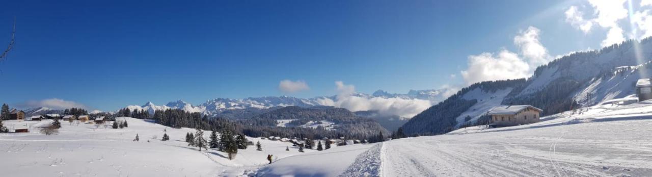 Studio Cabine Praz De Lys تانينج المظهر الخارجي الصورة