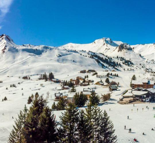 Studio Cabine Praz De Lys تانينج المظهر الخارجي الصورة