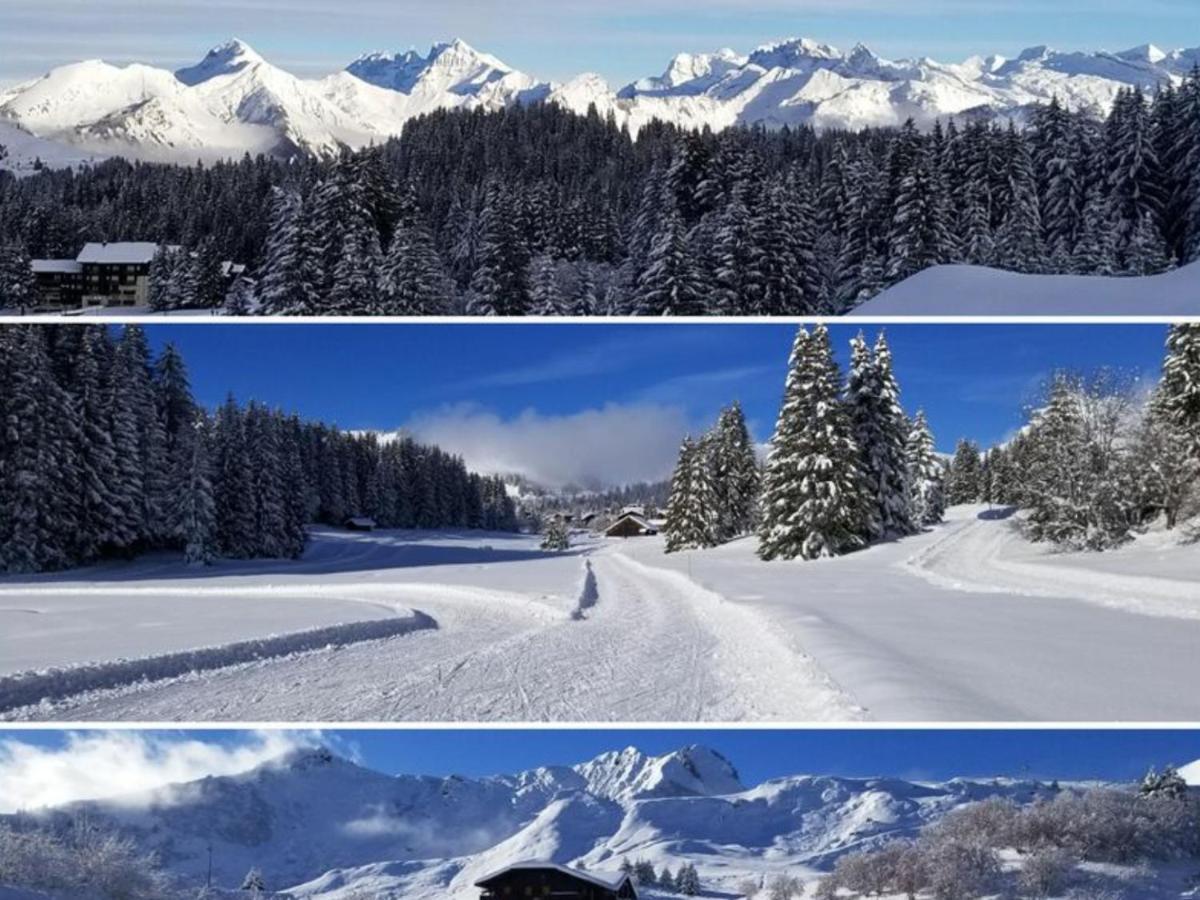 Studio Cabine Praz De Lys تانينج المظهر الخارجي الصورة
