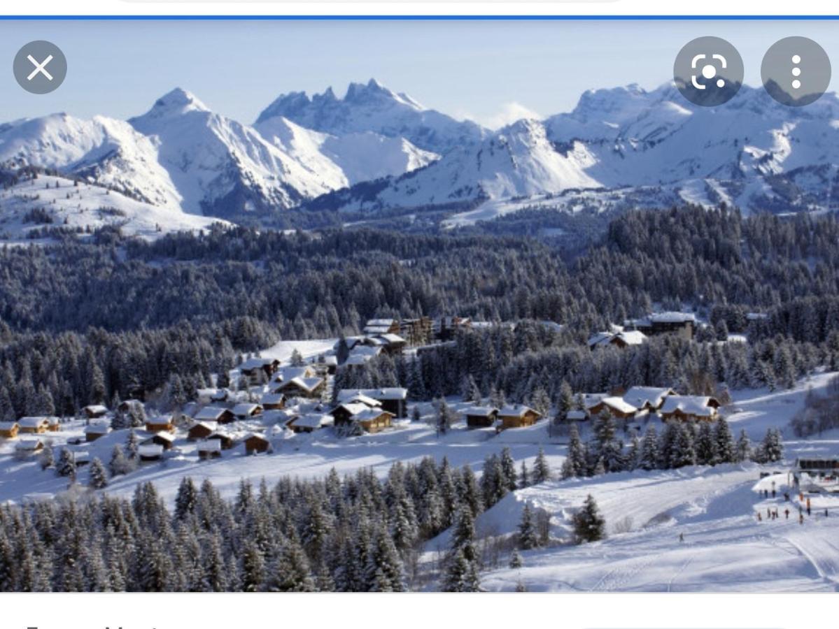 Studio Cabine Praz De Lys تانينج المظهر الخارجي الصورة